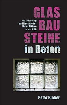 Glasbausteine beton als - glasbausteine,